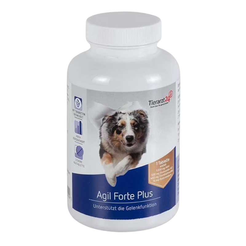 AgilForte