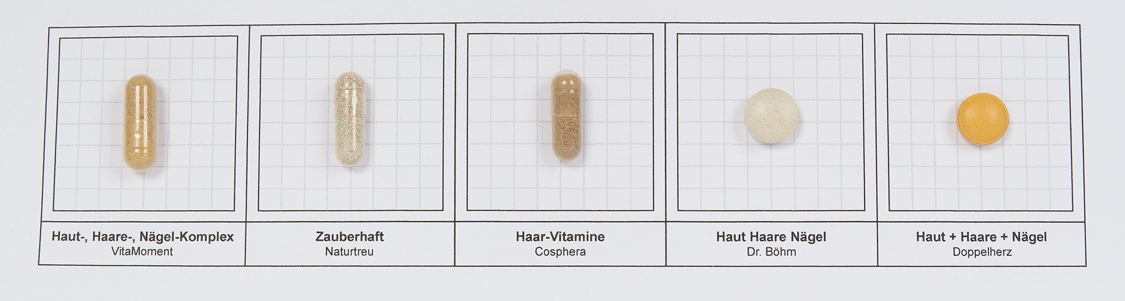 Haut Haare Nägel Komplex Sensorik