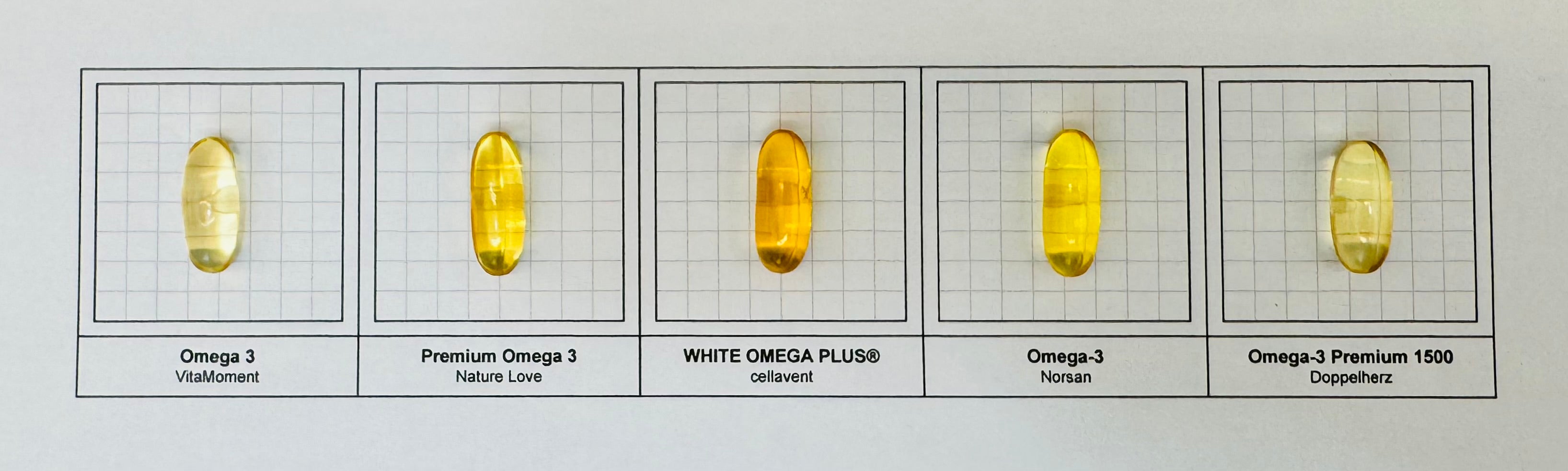 Sensorische Analyse Omega 3
