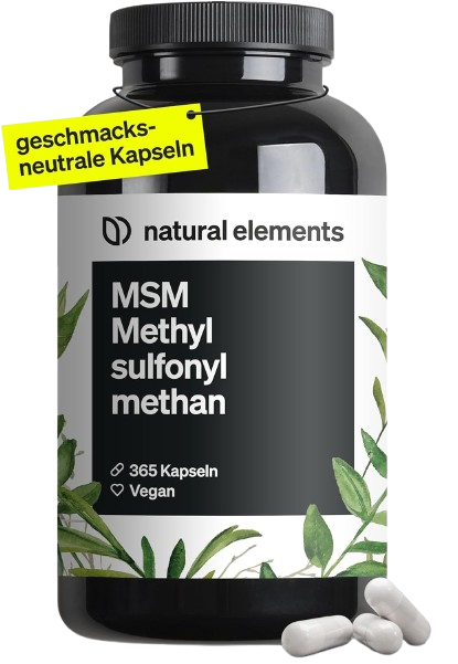 MSM Kapseln