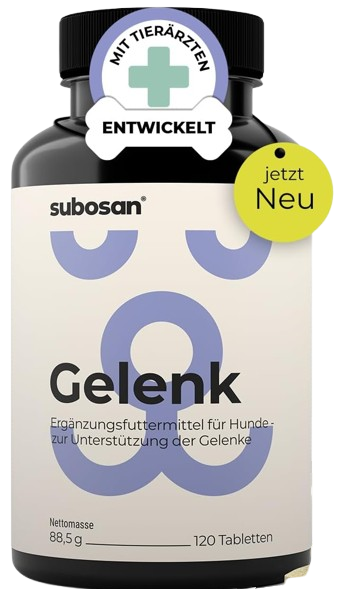 Gelenk